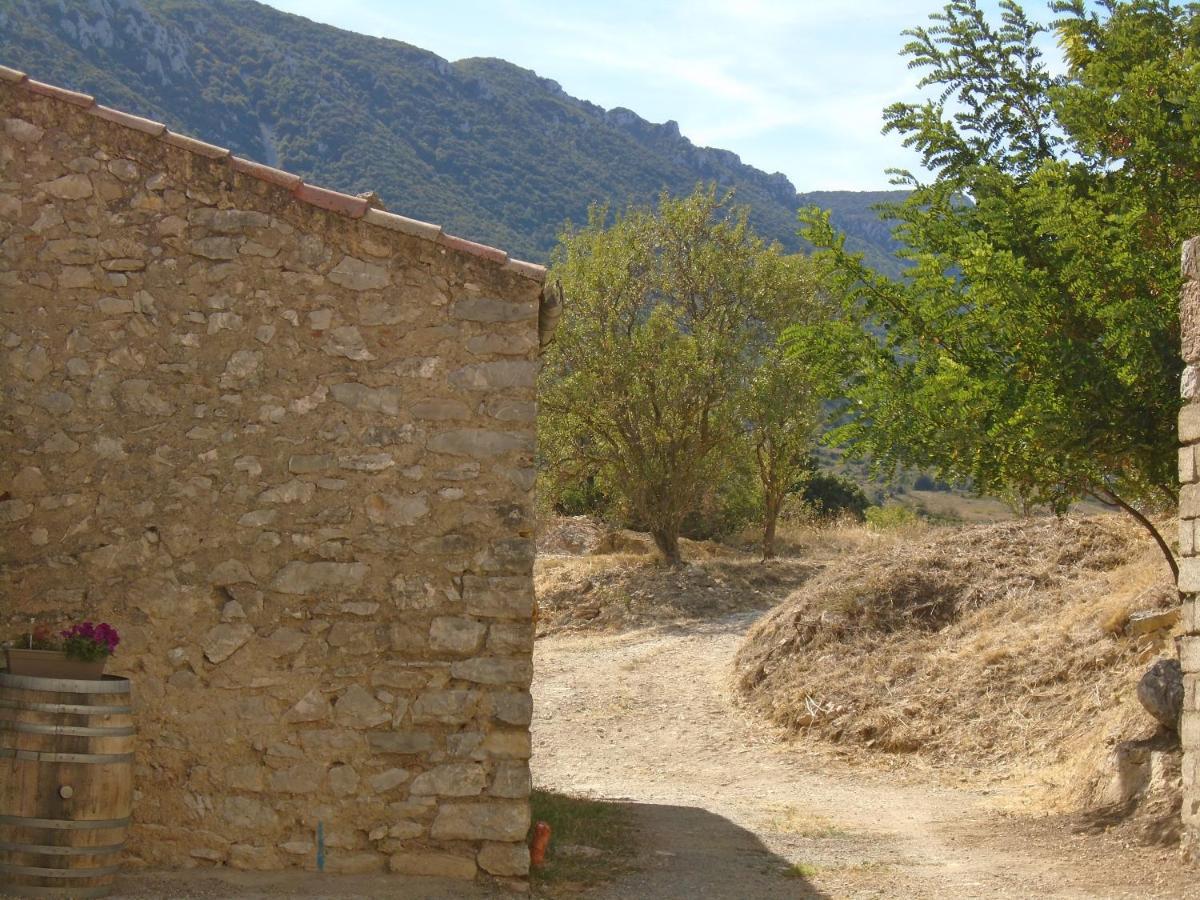 Chambre D'Hote Cucugnan Exterior foto